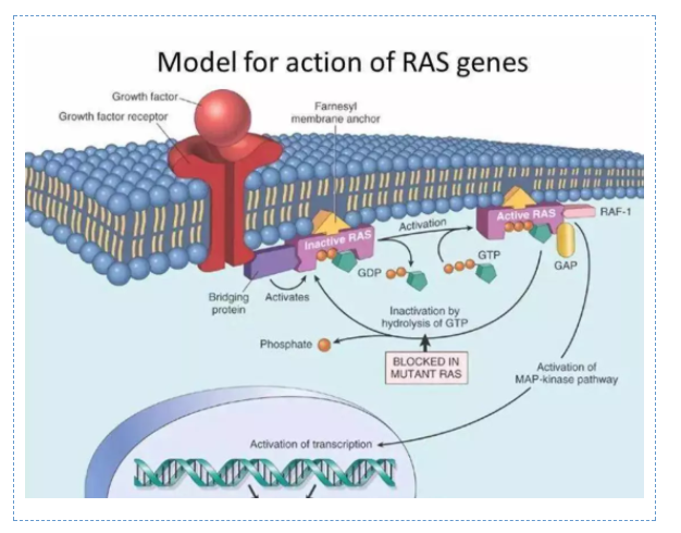 QQ截图20190319142352.png QQ截图20190319142352.png