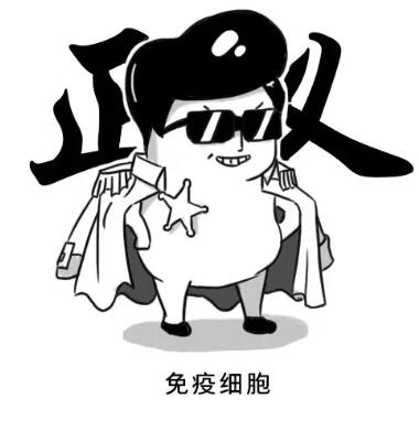 a3.jpg