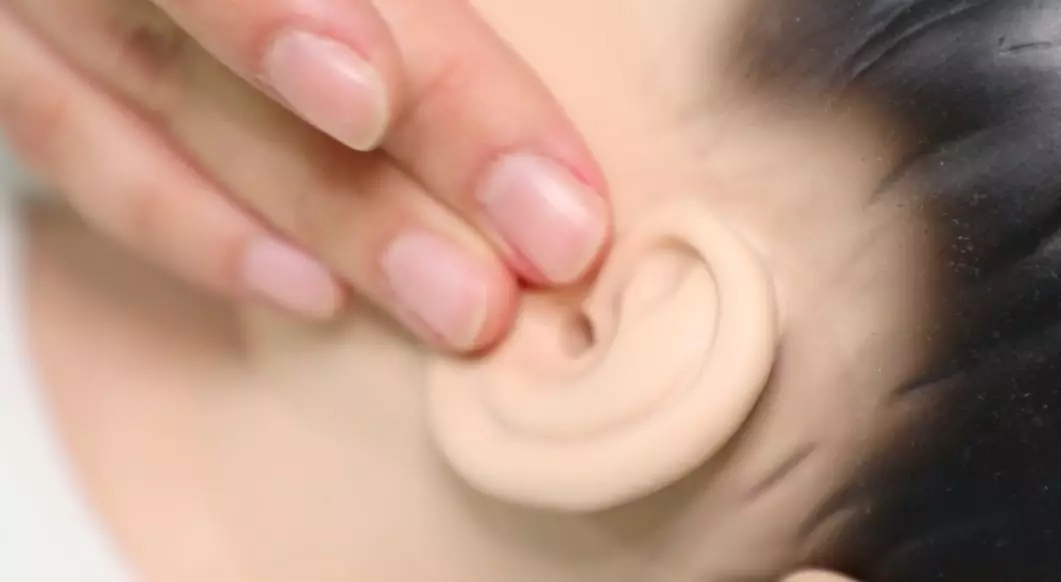 图4.webp.jpg 图4.webp.jpg