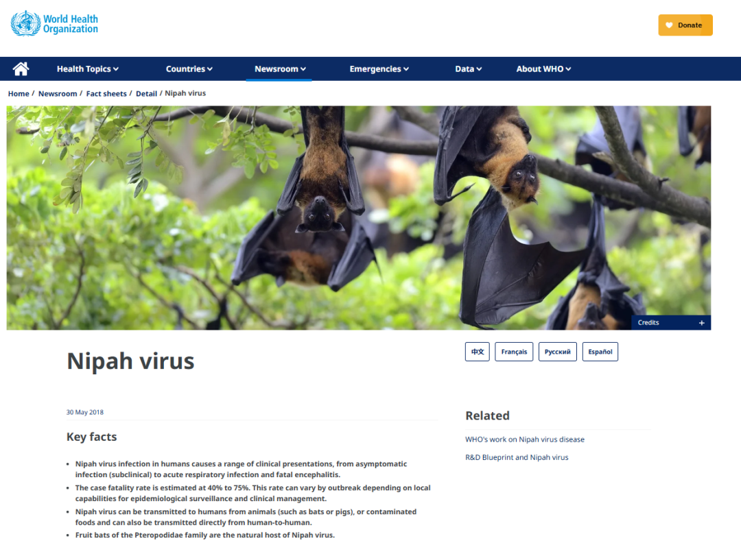 Chinese IVD Companies Assist in Nipah Virus Detection